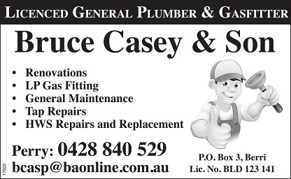 banner image for Bruce Casey & Son - Perry Casey