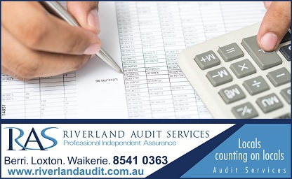 banner image for Riverland Audit Services