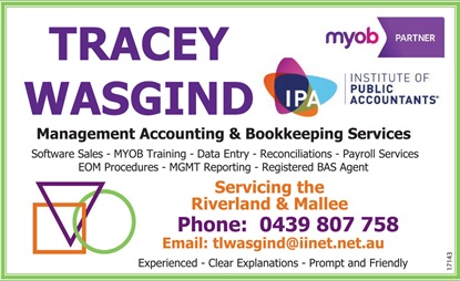 banner image for Tracey Wasgind